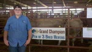 Grand Champion Bred Heifers - Jacob Meadows