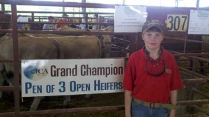 Grand Champion Open Heifers - Will Meadows